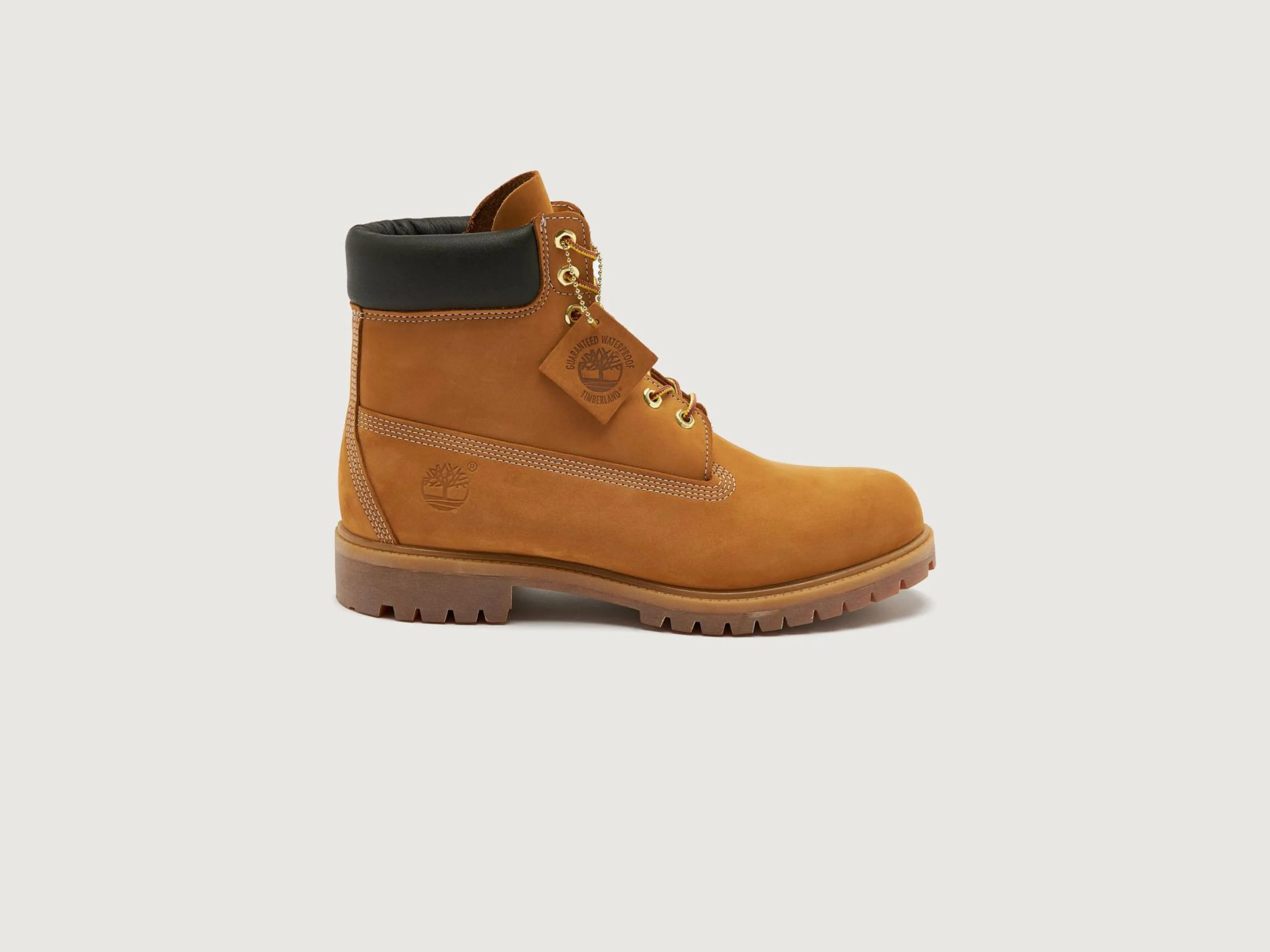 Shop Timberland TIM6INCHLACEUP