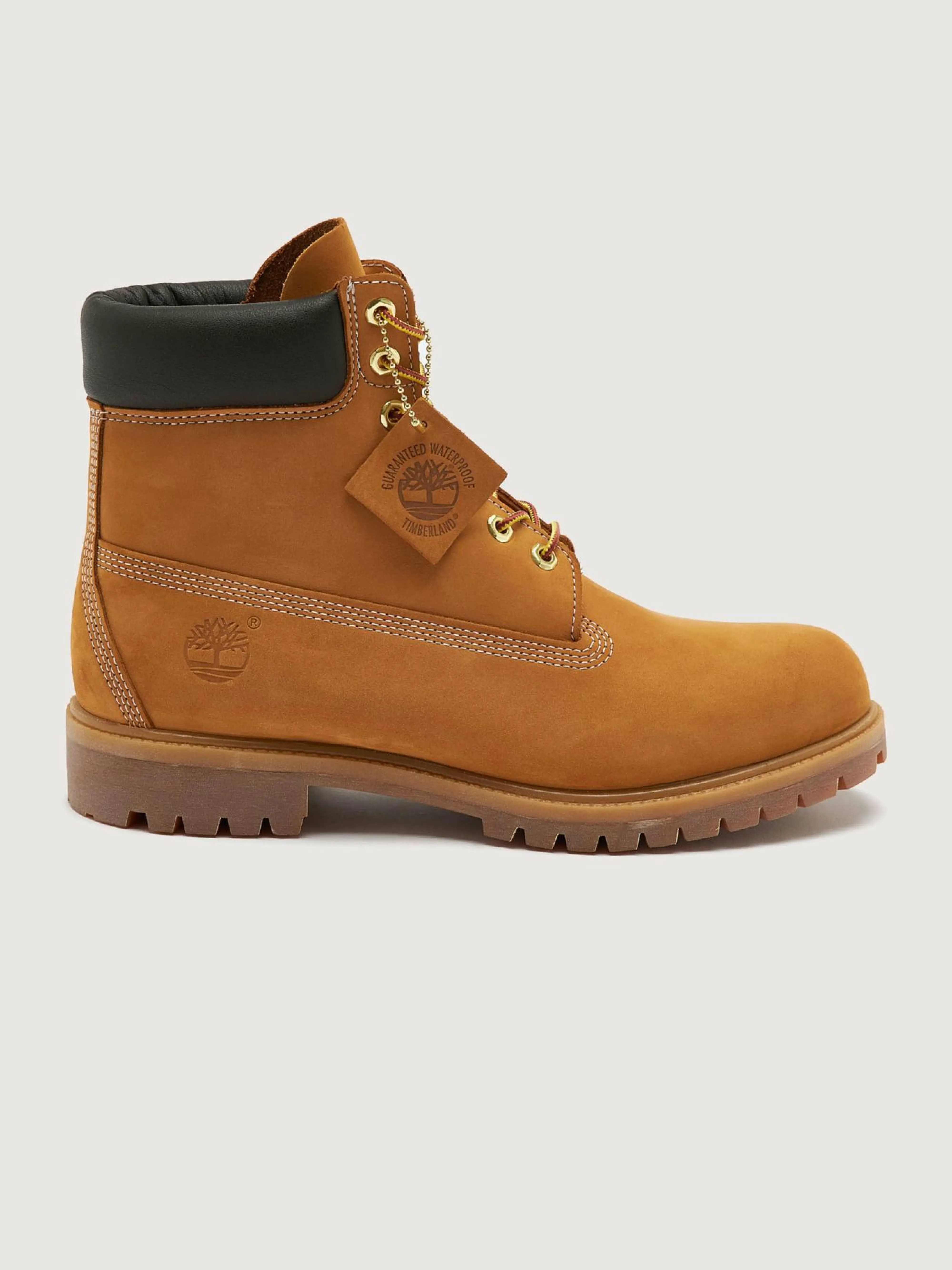 Shop Timberland TIM6INCHLACEUP